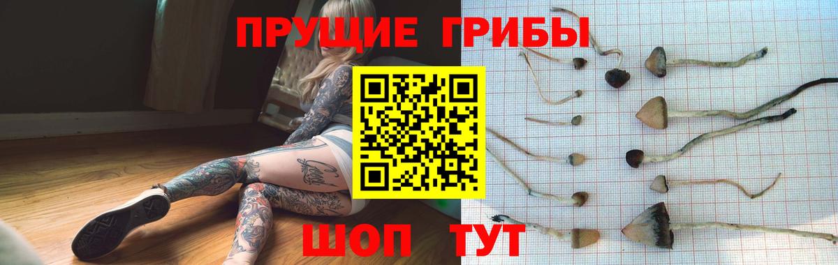 Галлюциногенные грибы MAGIC MUSHROOMS Малоярославец